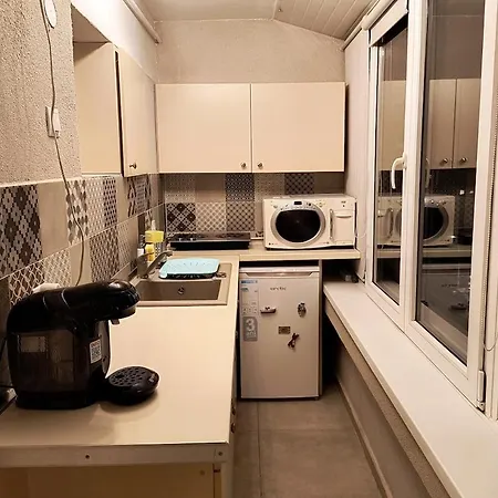 Skyview Victoriei Apartment *