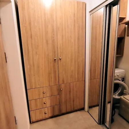 Skyview Victoriei Apartment *