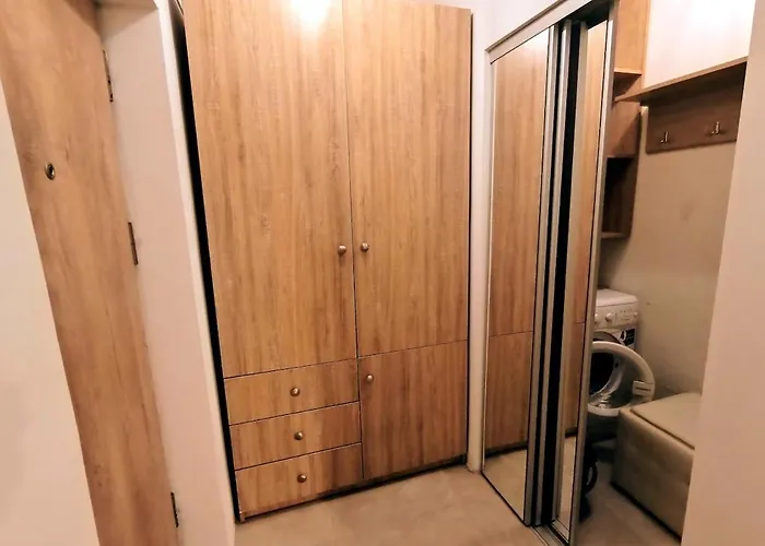 Skyview Victoriei Apartament *